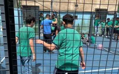 School Campus Cage Ball
